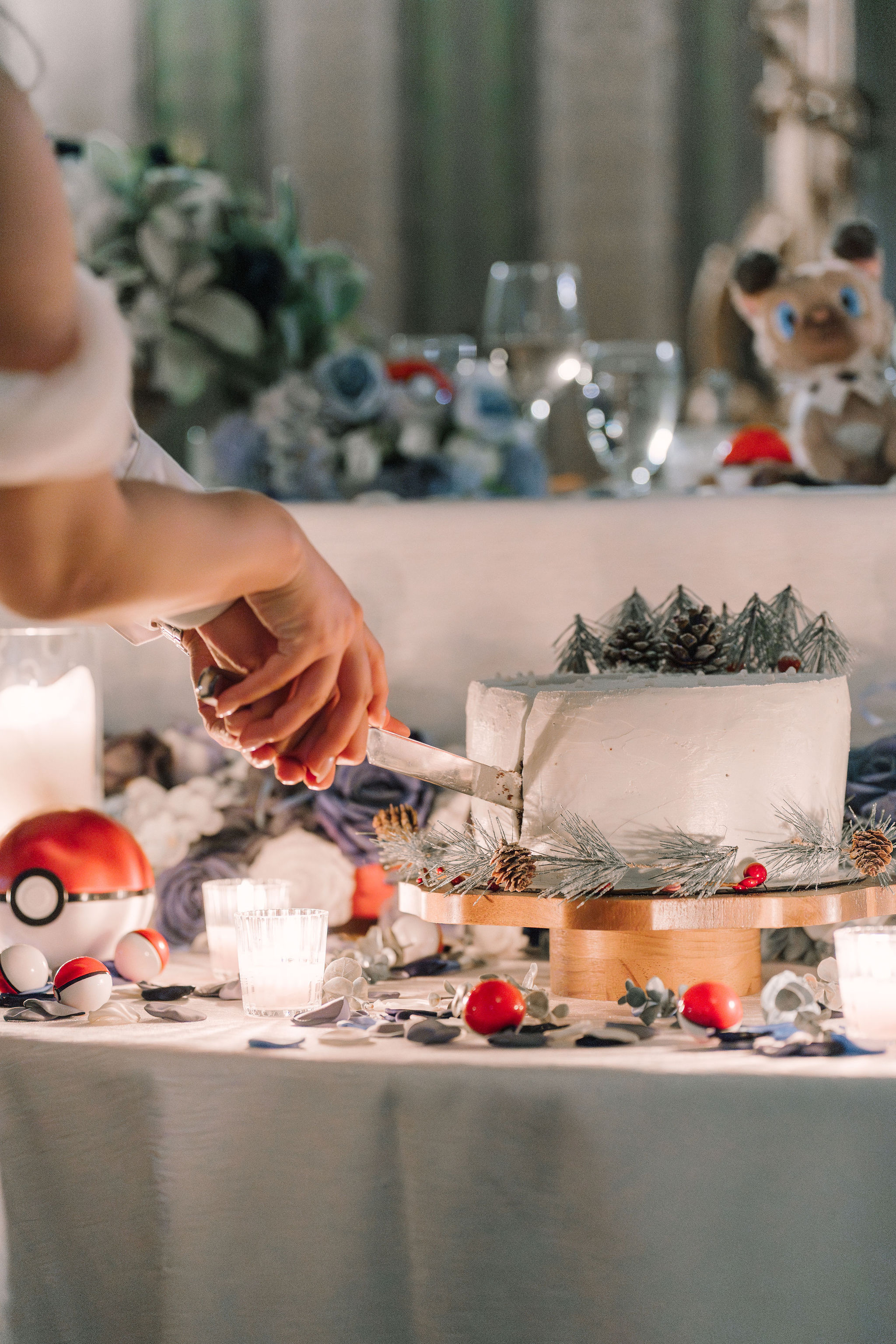Cake cutting with Pokeballs