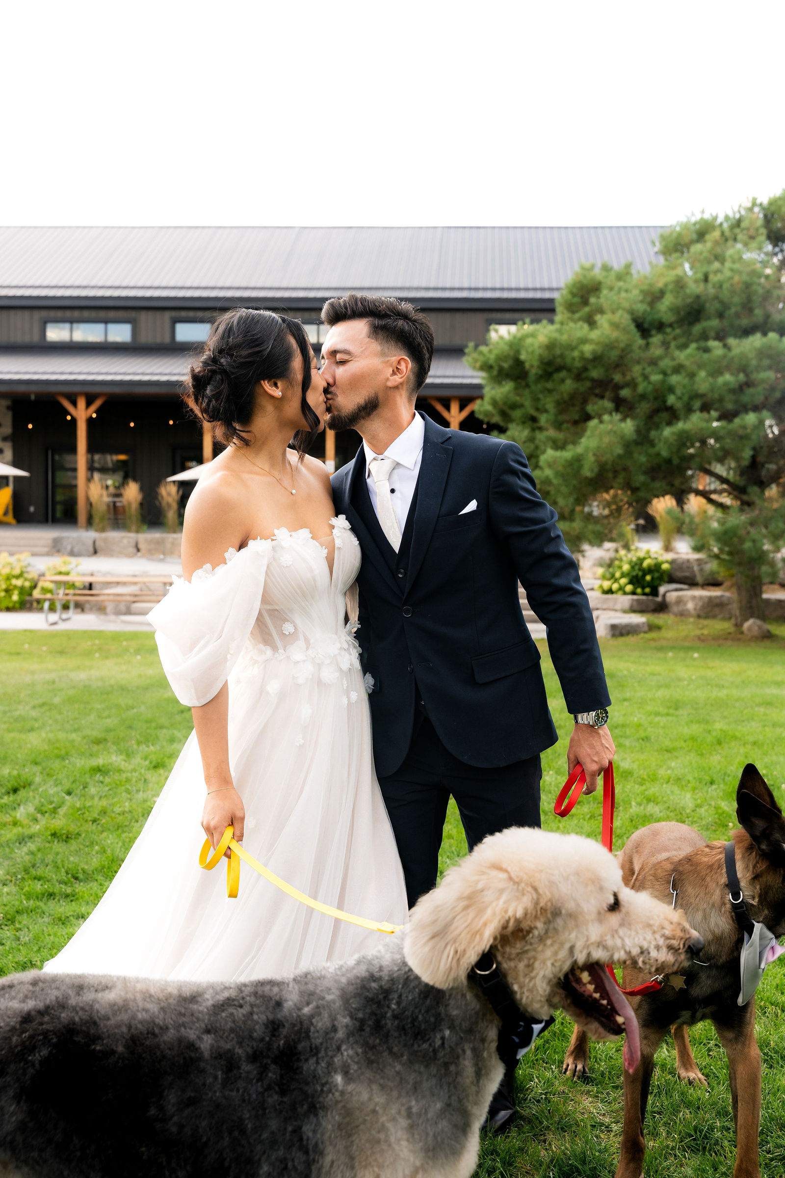 A kiss with their dogs alongside