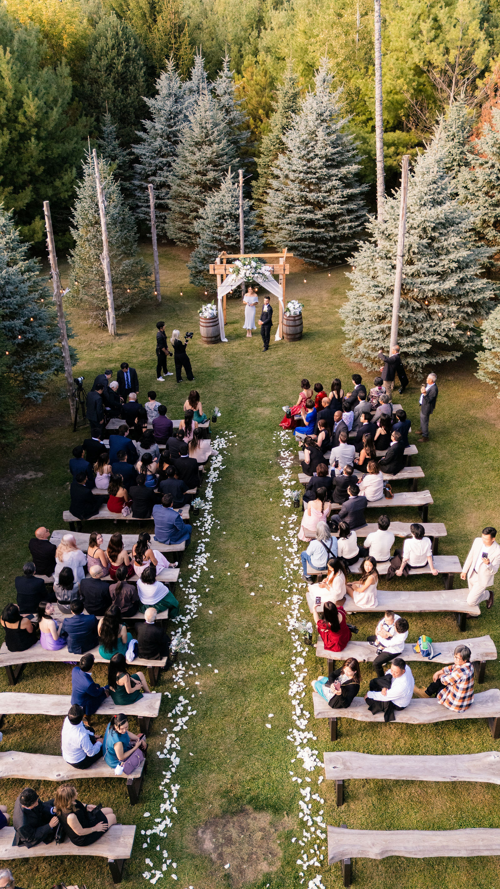 Aerial view of the forest aisle